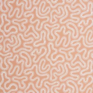 Coral - Peach Blush image