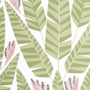 Jungle - Palm image
