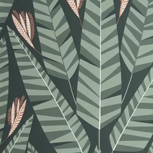 Jungle - Rainforest image